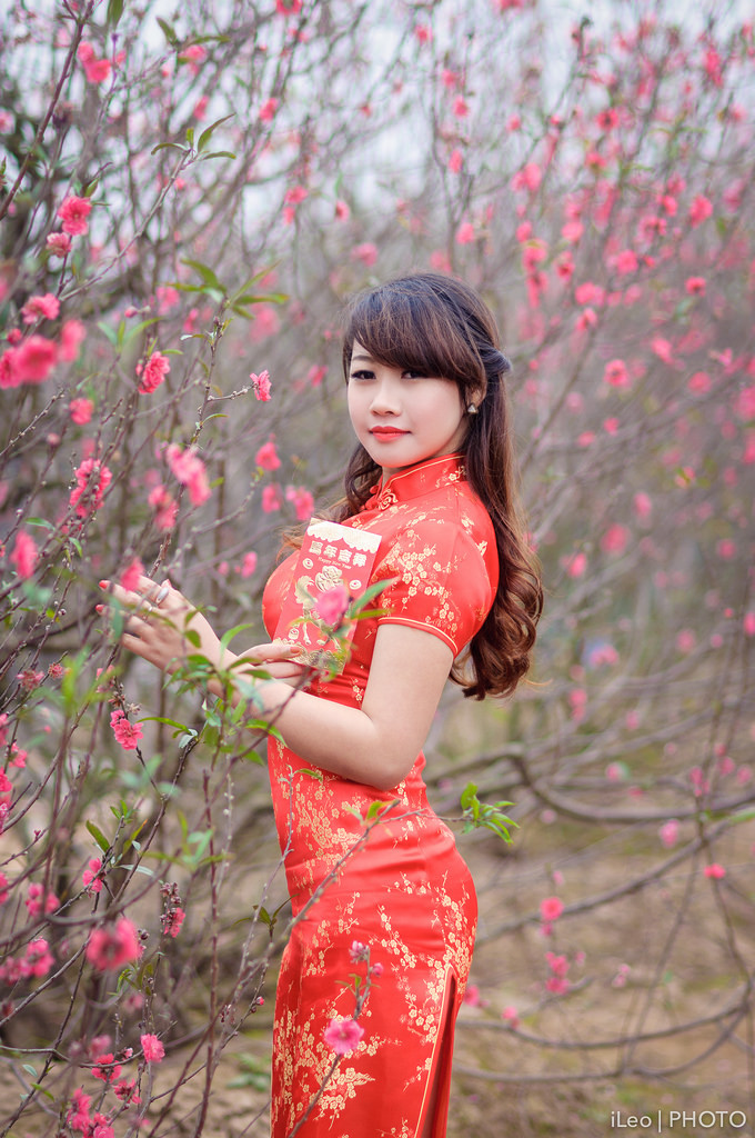 龙珠传奇